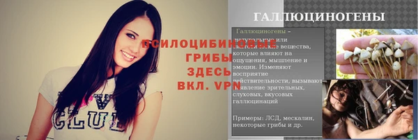 винт Коряжма