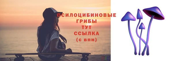винт Коряжма