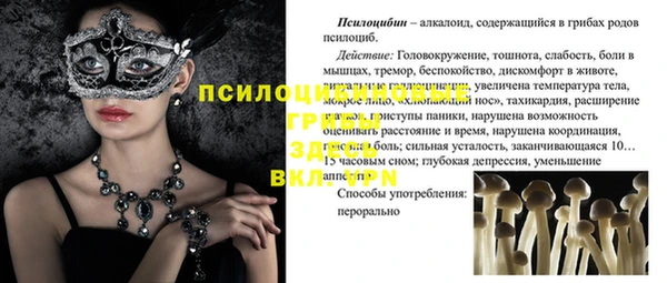 гашик Костерёво