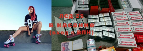 гашик Костерёво