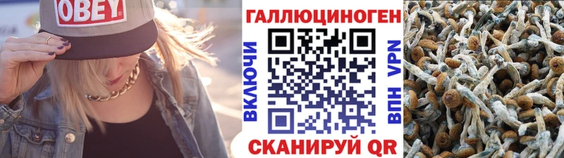 Псилоцибиновые грибы ЛСД  Котово 